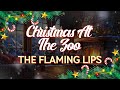 The Flaming Lips - Christmas at the Zoo (Lyrics)