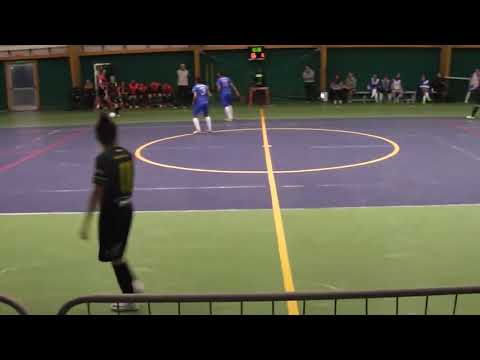 Highlights FLAMINIA FANO - TOP FIVE 4-0 domenica 17-12-17