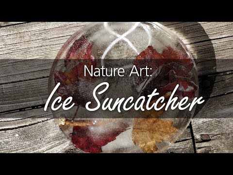 Nature Art: Ice Suncatcher