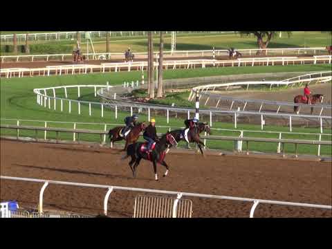 Kanthaka (outside horse) 1/27/18 Santa Anita