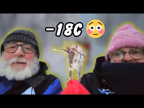 We Weren’t Prepared for −18C ❄️ Reindeer Sleigh Ride in Lapland