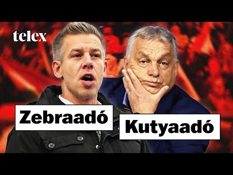 Orbánnak Lendvai Ildikó, Magyarnak Rogán jutott eszébe Nyíregyházán