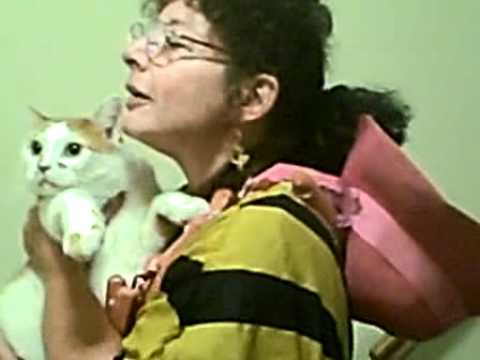 2010 sept crazy judy cat romance.AVI