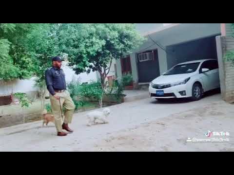 Shahabuddin Siddiqui