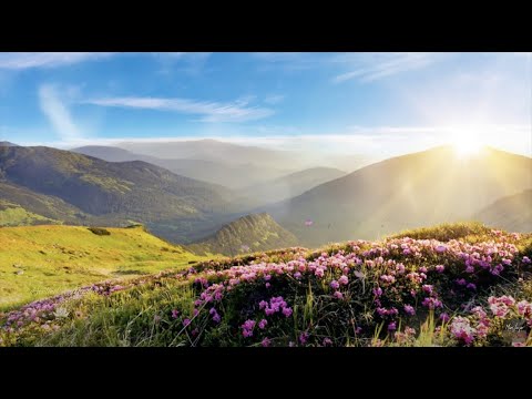 Sentinel Meadow - Mars Lasar - Valley of The Giants