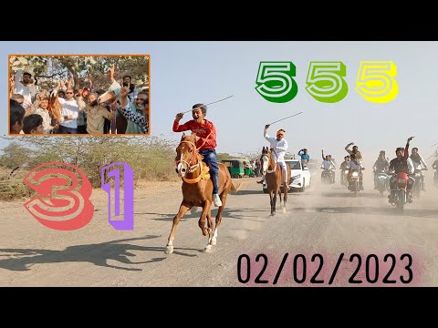 "masitiya" vilege " do" ghodo ki sandar race ,, 🐎  31 vs 555 🐎    ,02/02/2023