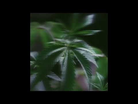 (FREE) Alpha Wann x Esso Luxueux x Infinit Type Beat - Dayumn (prod. alseptseptsept)