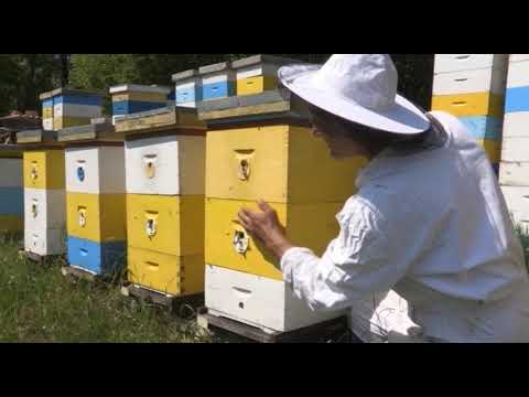 Boja meda ep. 47 29.01.2019. NAJAVA