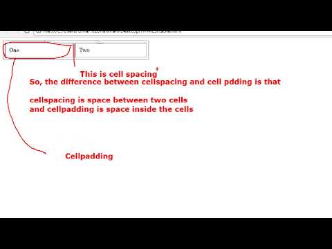 HTML5 table Tutorial Rays | By Umar Rahman