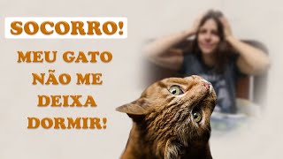 SOCORRO! COMO FAÇO PARA O MEU GATO ME DEIXAR DORMIR?