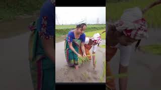 Download lagu Bodo community The largest ethnic tribal group of Assam mp3