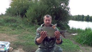 Клев леща в сентябре на реке