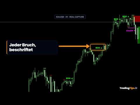 Video Market Structure Order Block Dashboard MT5
