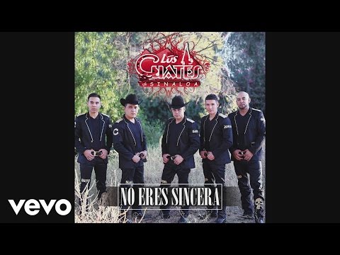 Los Cuates de Sinaloa - No Eres Sincera (Cover Audio)