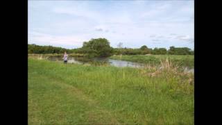 I Want You To Meet My Friend