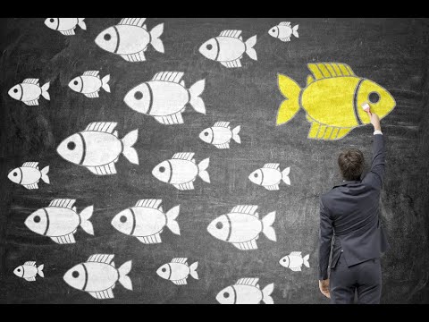 Language Coaching - Can Neurolanguage Coaching help you learn a language?