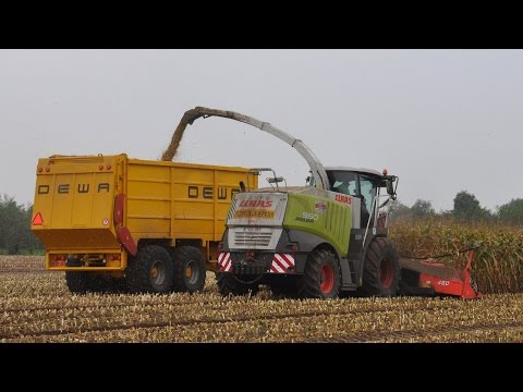 Claas Jaguar 950 - Loonw. Luc Willems - mais hakselen 2014