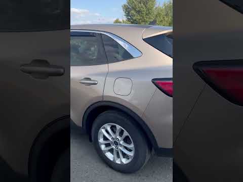 фото ford escape iv 0