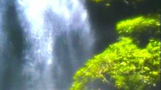 Stress Relief & Relaxation  - Waterfalls - Rainforest Music Endless Emotion
