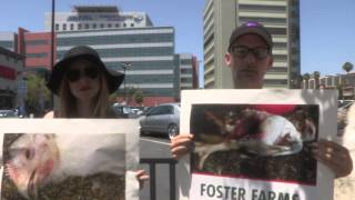 Moby and Simone Reyes protest Foster Farms with Mercy for Animals