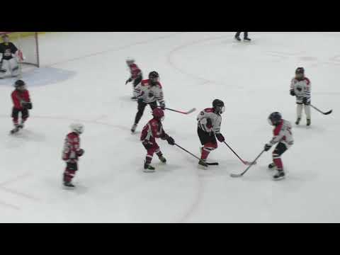 U10 HC Vipers 3 Alumine – U10 HC Panter Must 1 12 1 period