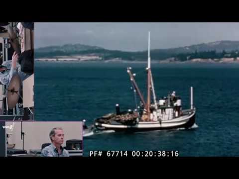 Jazzmeia Horn feat  by WDR BIG BAND  -  The Peacocks