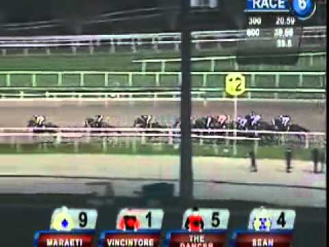 20101008 SG CLASS 4 1800M (POLYTRACK) - THE DANCER (R Fradd)