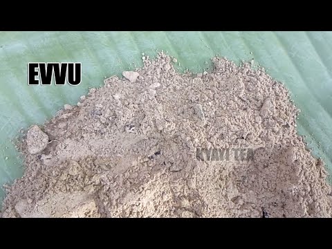 Eddagala Lirino Baliyita Evvu Obadde Okimanyi nti Evu Lifanana Weliti