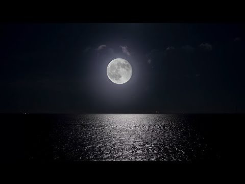 🔴 Deep Sleep Music 24/7, Calming Music, Insomnia, Sleep, Relaxing Music, Study, Sleep Meditation