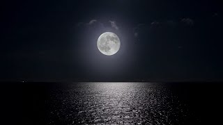 Download lagu 🔴 Deep Sleep Music 24/7, Calming Music, Insomnia, Sleep, Relaxing Music, Study, Sleep Meditation mp3