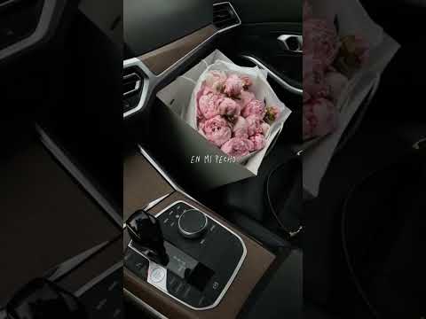 Donde Esta El Amor - Ringtones Reggaeton