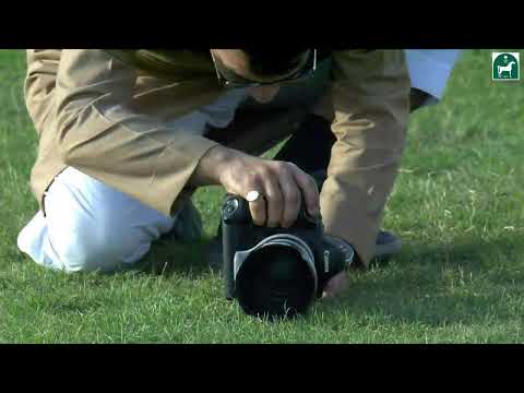 JCSA:RIYADH RACING SEASON 2025 MEETING 35