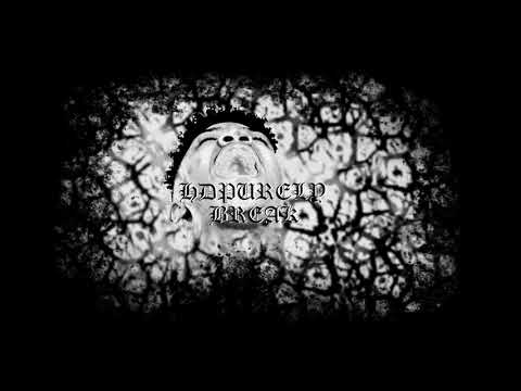 HDPURELY - BREAK!!! (Prod. Zyller46 x Acid Tracks)