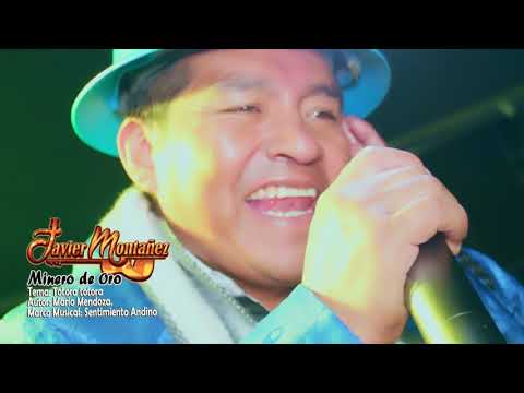 JAVIER MONTAÑEZ "Minero De Oro" - Totora Totora (Concierto En Vivo 2023) - Requinto Peruano