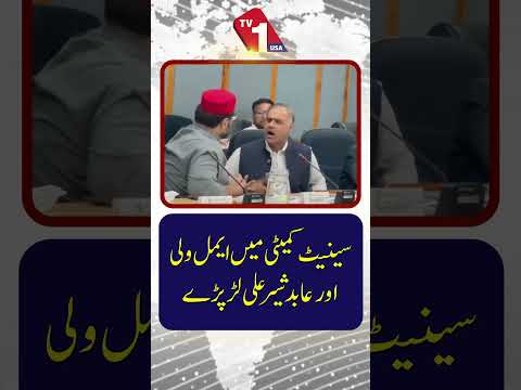 سینیٹ کمیٹی کے اجلاس کے دوران ایمل ولی اور عابد شیر علی کے درمیان تلخ کلامی