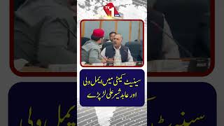 سینیٹ کمیٹی کے اجلاس کے دوران ایمل ولی اور عابد شیر علی کے درمیان تلخ کلامی