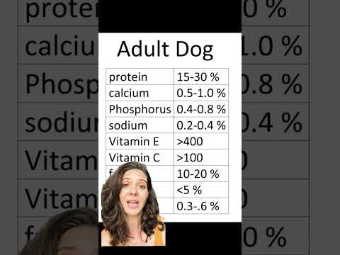 Adult dog food guidelines #shorts #petnutrition