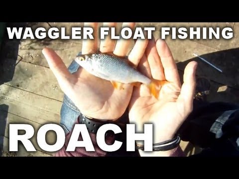 GoPro HD: Fishing For Roach & How To Setup Waggler Float Rig