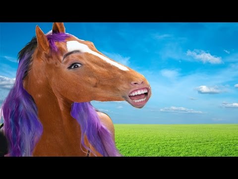 iHasCupquake - HORSING AROUND - Horse Simulator App Game