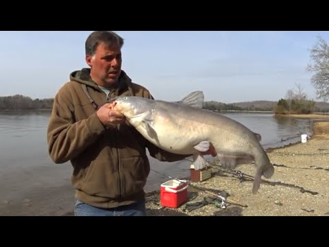 Basic Guide To Catching Big Catfish