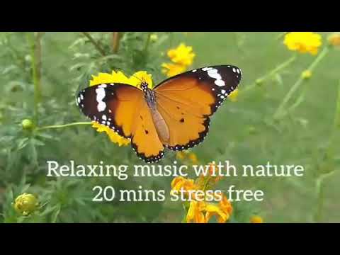 20 mins Relaxing music / Stress relief music