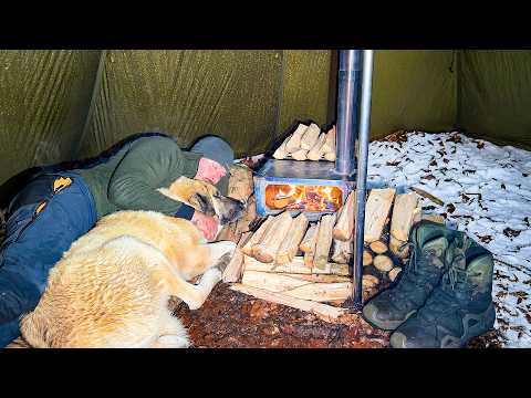 Hot Tent Camping in Heavy Snowfall – Caught in a Snowstorm with My Dog!