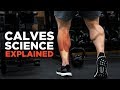 The Most Scientific Way to Train CALVES in 2018 (Science Explained)