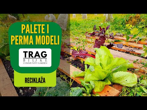 Pallets and Permaculture Models