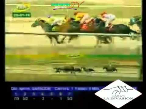 VALENCIA 1 CARRERA, JUEVES 28 DE ENERO DEL 2016