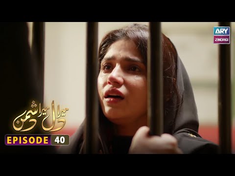 Mera Dil Mera Dushman Episode 40 | ARY Zindagi