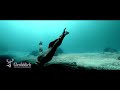 Glenfiddich The Diver TV Ad For India