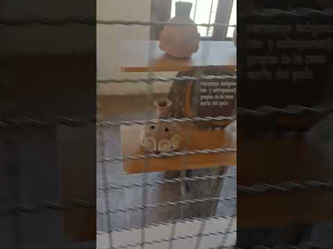 Visitando el Laberinto en Los COCOS  ● Córdoba 2