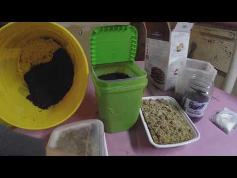 Setup of layered worm bin time-lapse