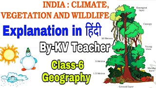 India : Climate, Vegetation And Wildlife / Class-6 Geography Chapter hindi explanation